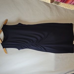 Ann Taylor Petite Dress